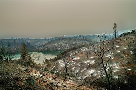 In the skies, a forest fire turned homes into ashes