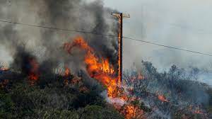 In the skies, a forest fire turned homes into ashes